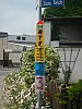 DSCN0039